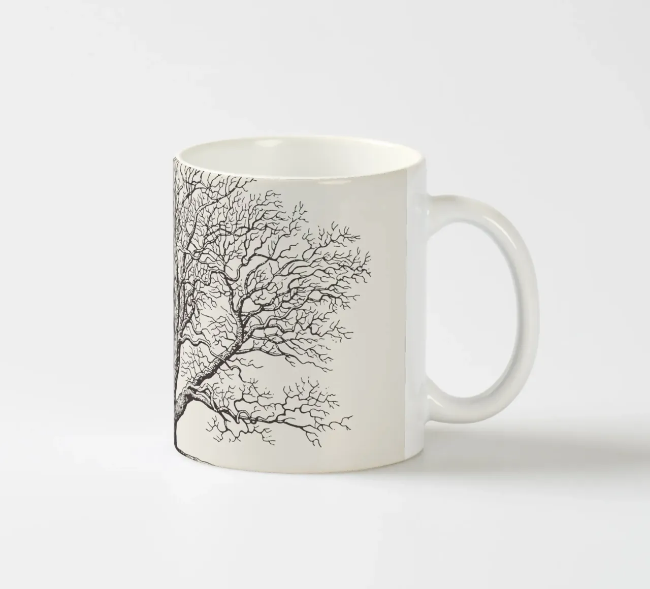 Tree Sketch - Winter Oak tazza in ceramica da apoloprints