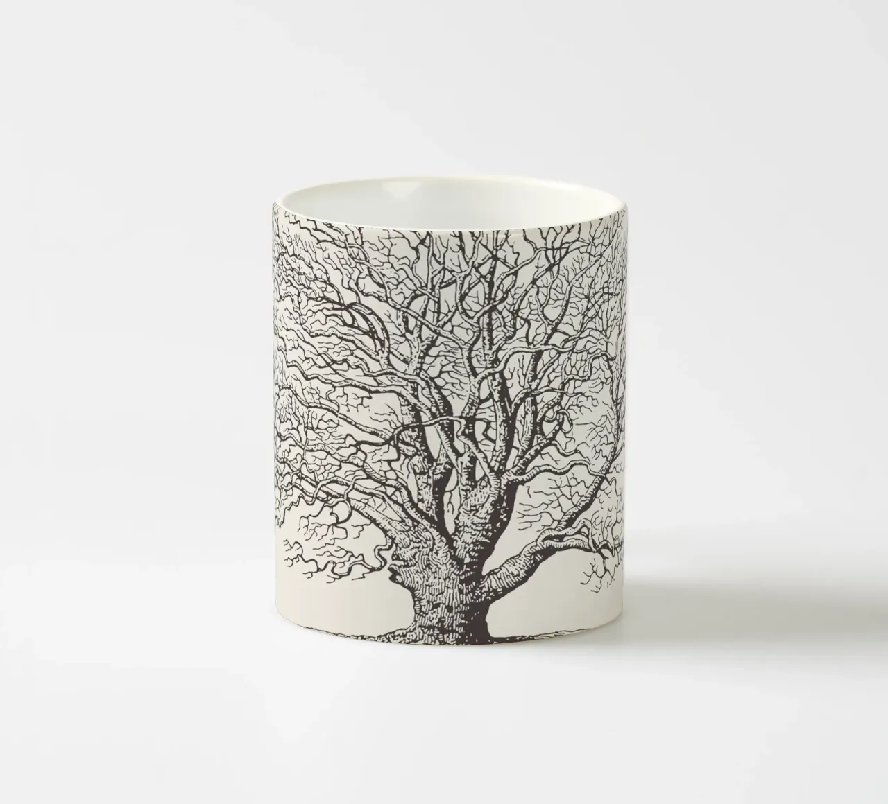 Tree Sketch - Winter Oak tazza in ceramica da apoloprints