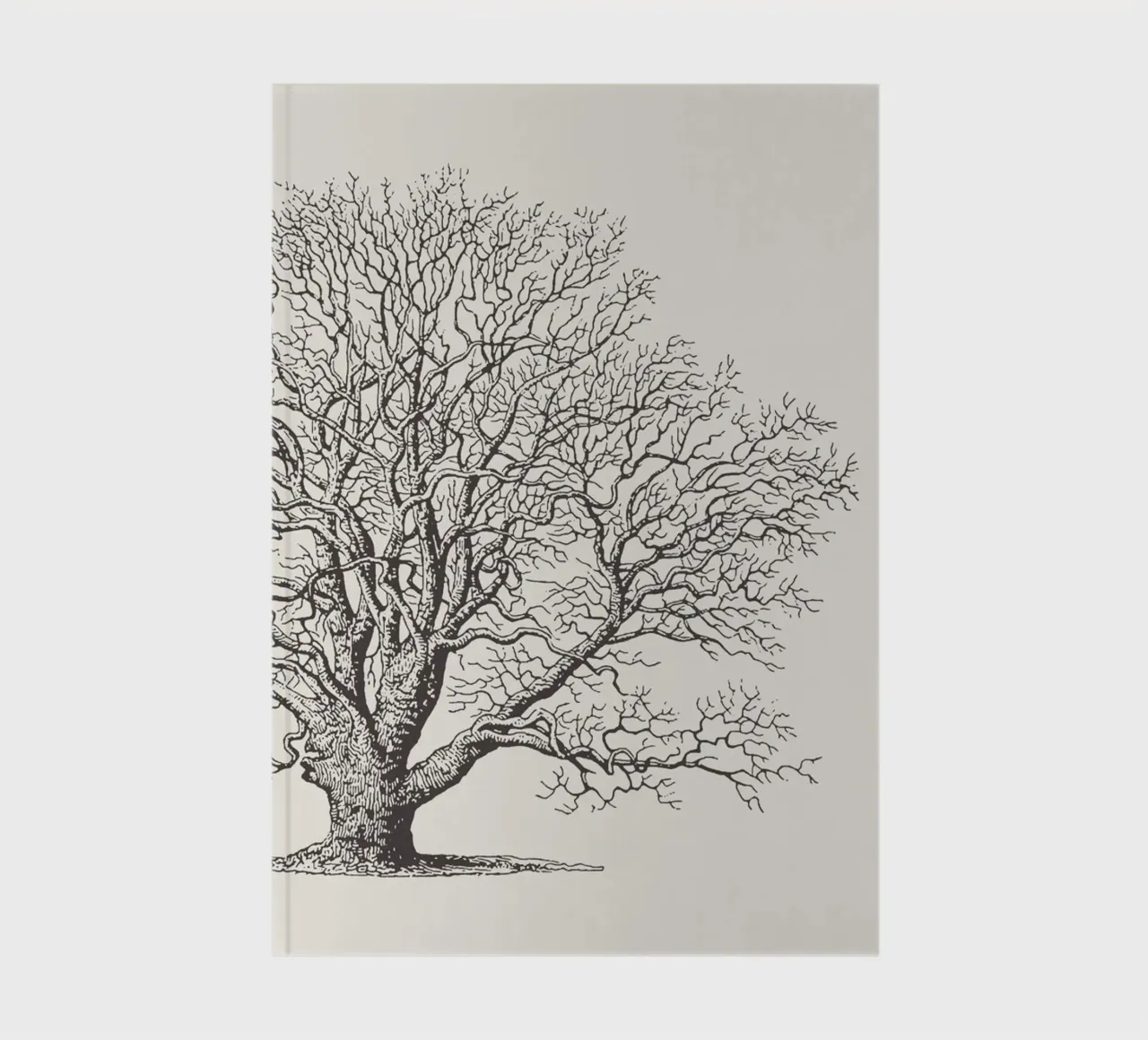 Tree Sketch - Winter Oak carnet de notes de apoloprints