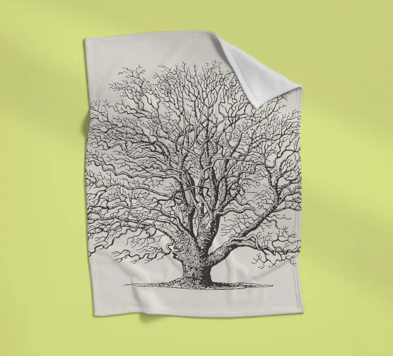 Tree Sketch - Winter Oak coperta in pile da apoloprints