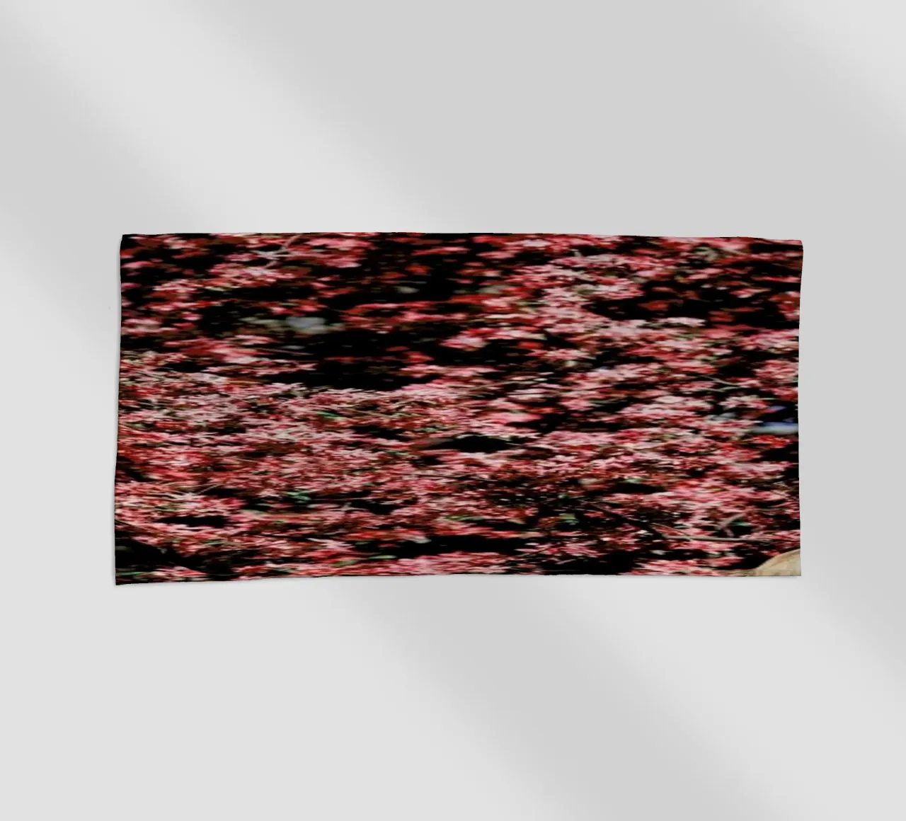 Flower Tree telo mare da Jovana Rikalo