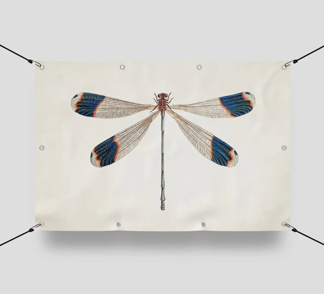 Dragonfly no. 1 telo in pvc da apoloprints