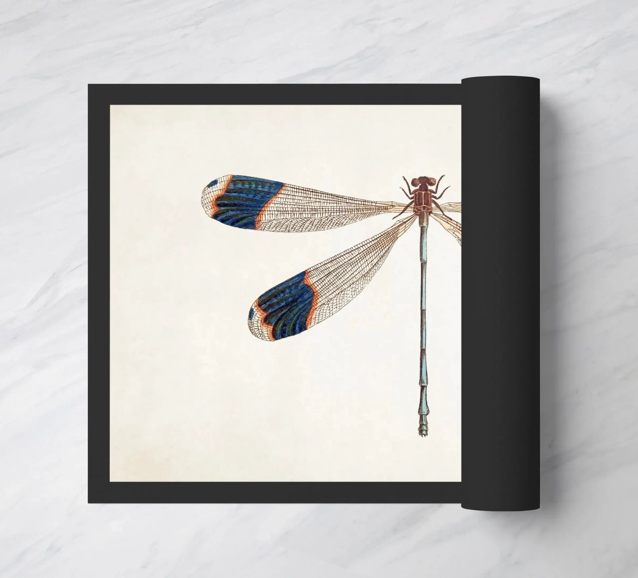 Dragonfly no. 1 zerbino da apoloprints