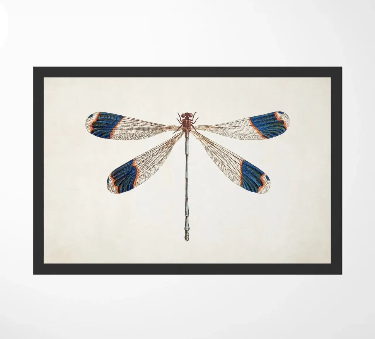 Dragonfly no. 1 zerbino da apoloprints