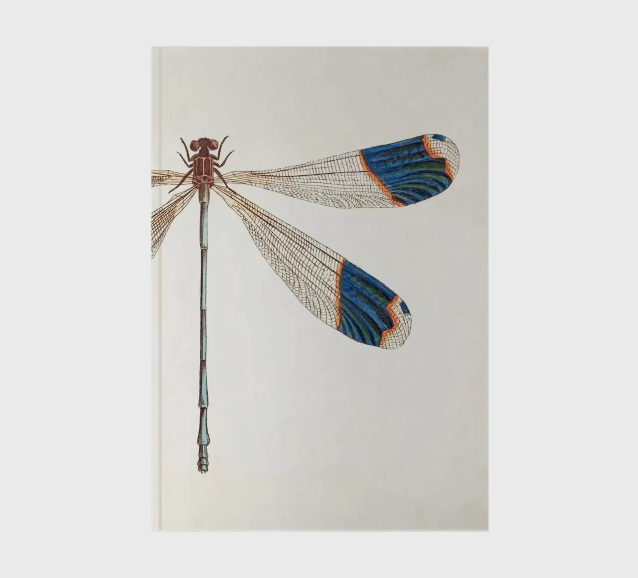 Dragonfly no. 1 notebook by apoloprints