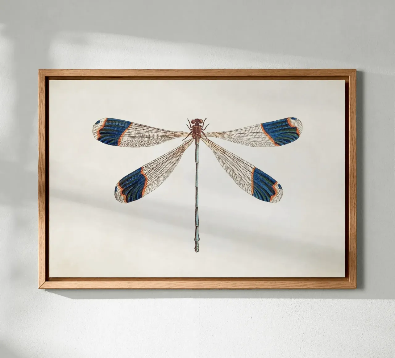 Dragonfly no. 1 tela con Cornice a cassetta da apoloprints