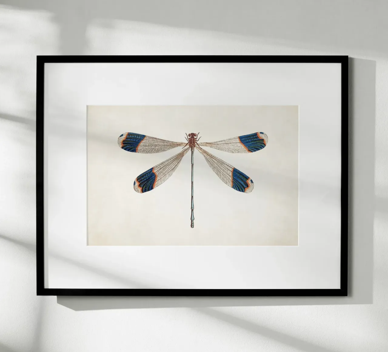 Libellula n. 1 poster da Apolo Prints