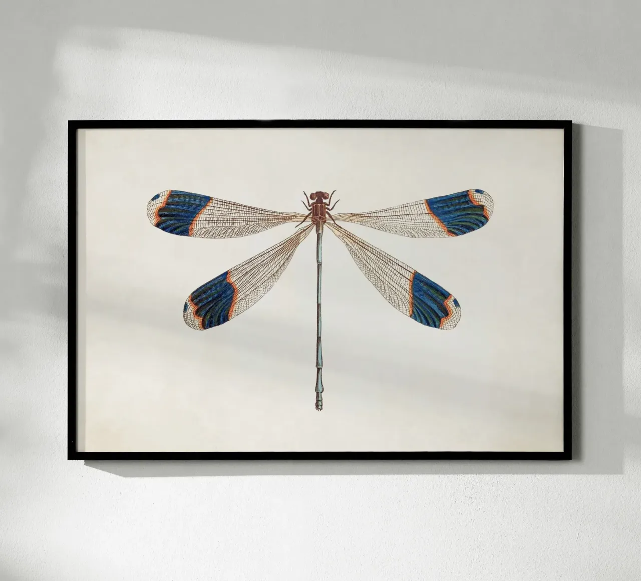 Dragonfly no. 1 carta hahnemühle da apoloprints