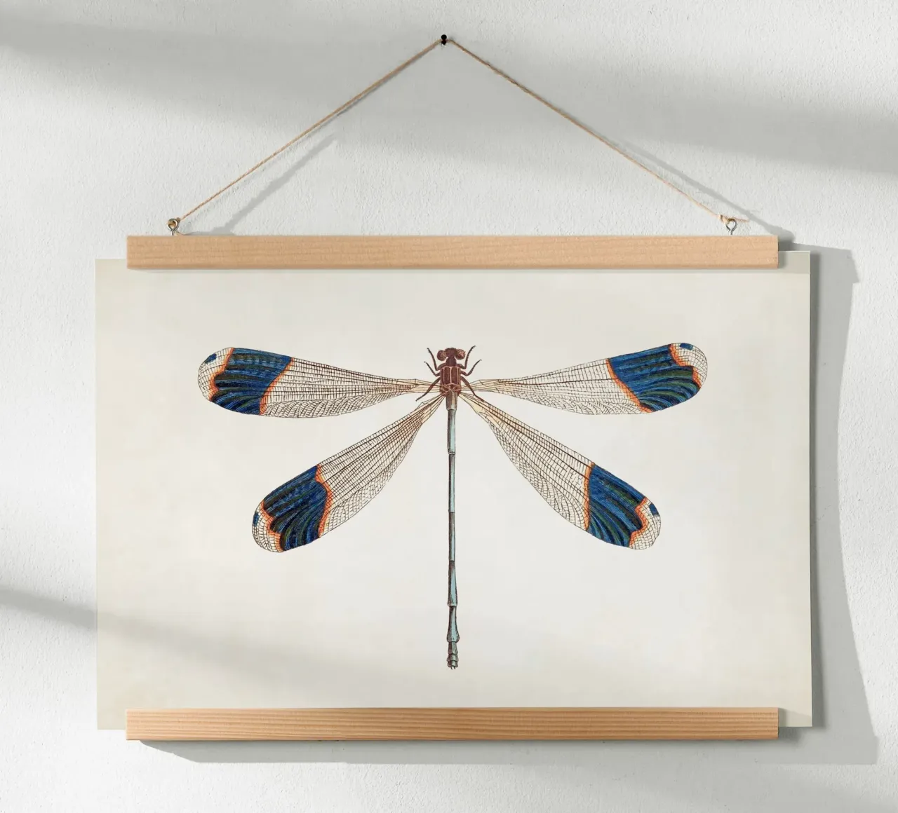 Libellula n. 1 poster da Apolo Prints