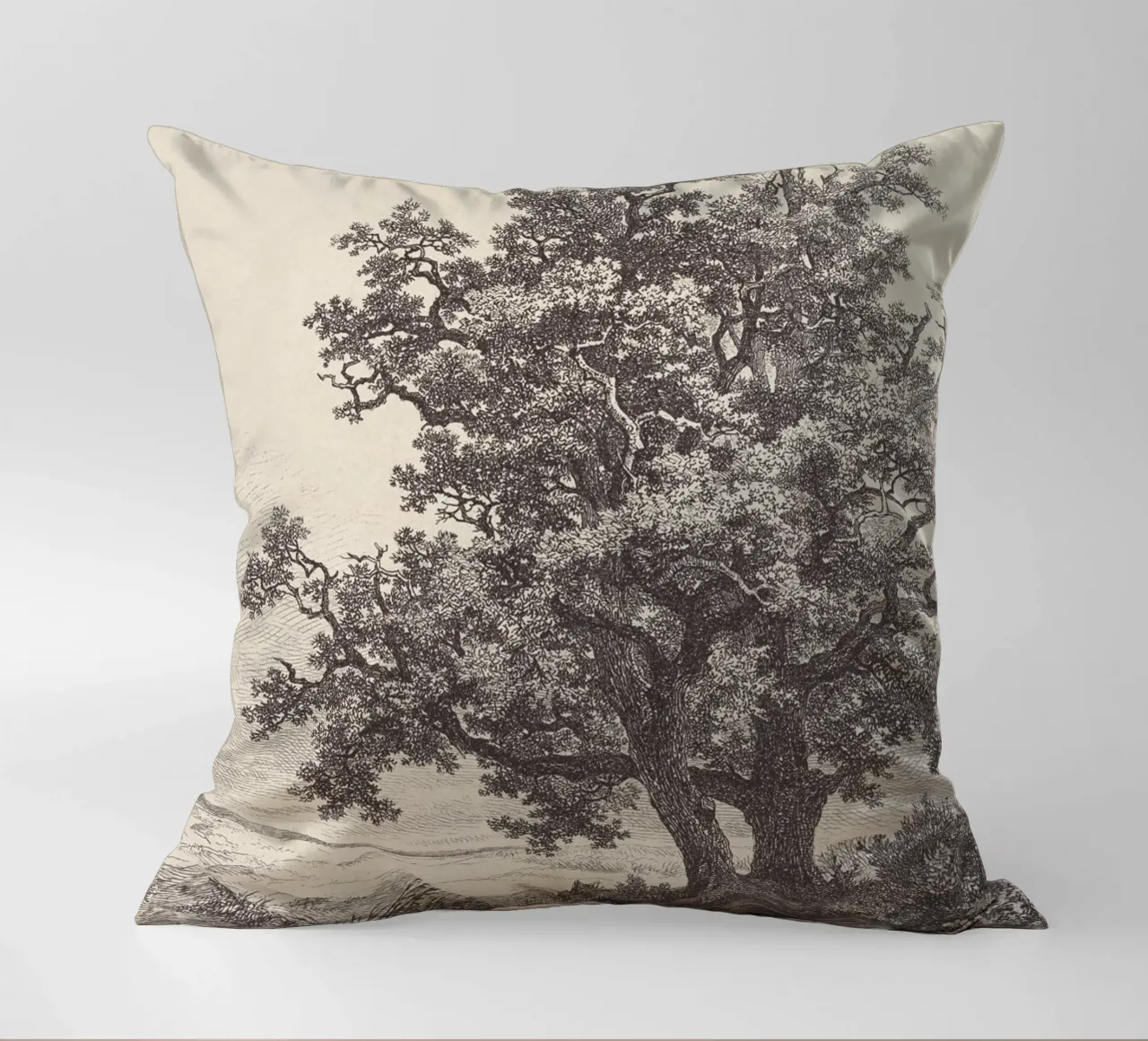 Tree with Stream Landscape cuscino da apoloprints