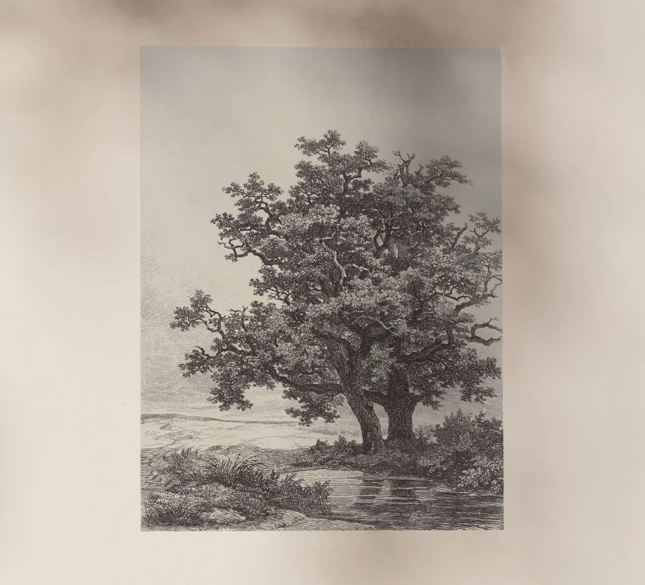 Tree with Stream Landscape pellicola backlit da apoloprints