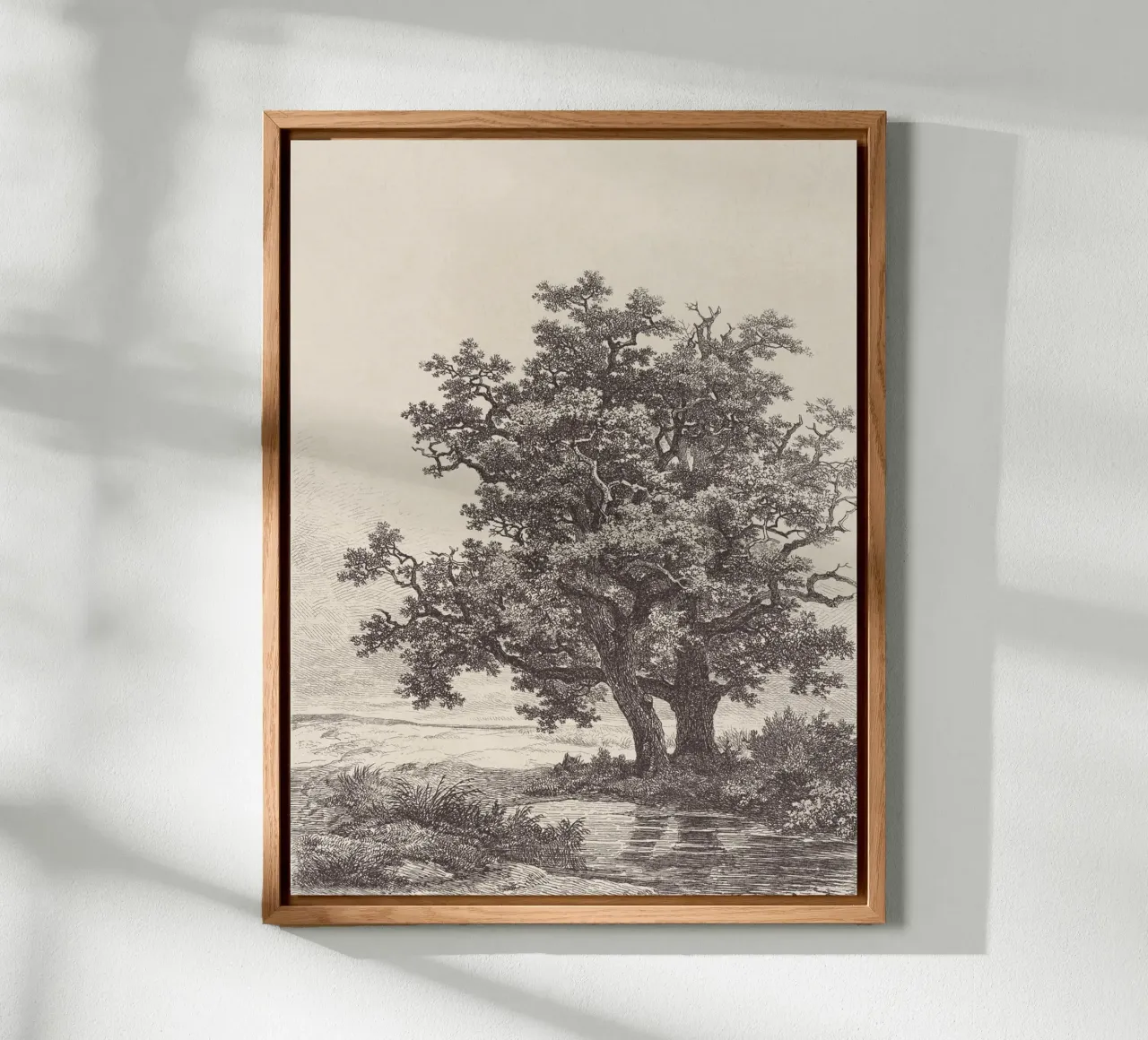 Tree with Stream Landscape alluminio dibond da apoloprints