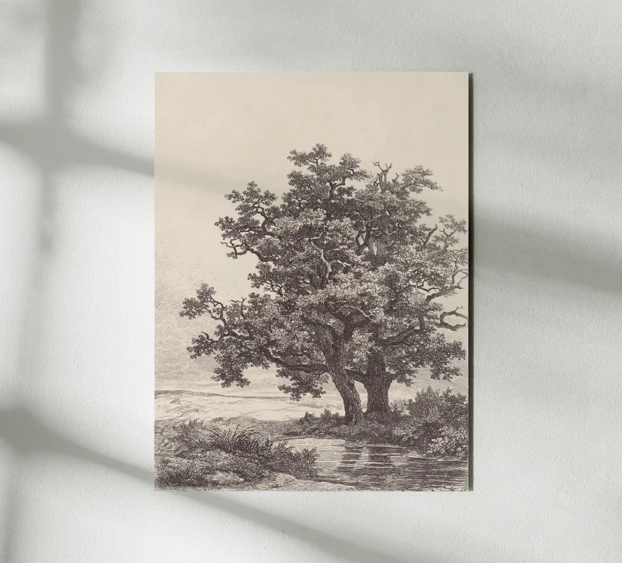 Tree with Stream Landscape alluminio dibond da apoloprints