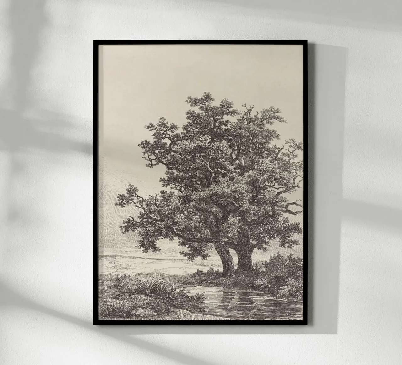 Tree with Stream Landscape carta hahnemühle da apoloprints