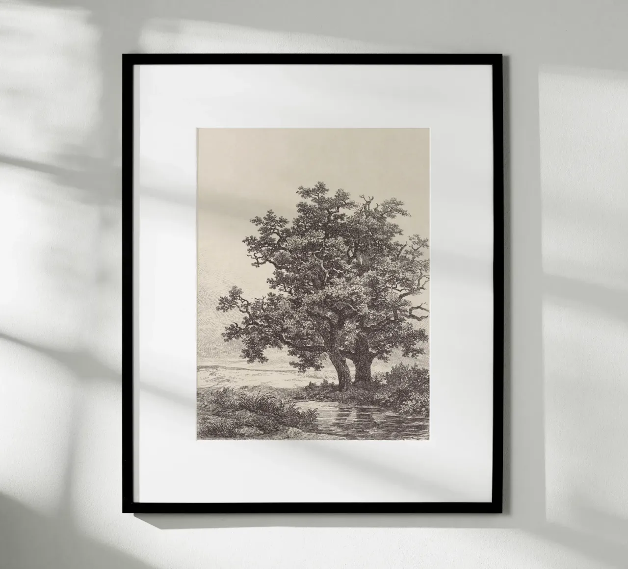 Tree with Stream Landscape carta hahnemühle da apoloprints