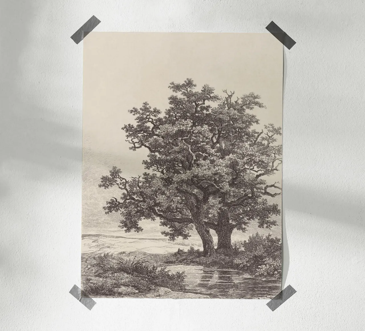 Tree with Stream Landscape carta hahnemühle da apoloprints