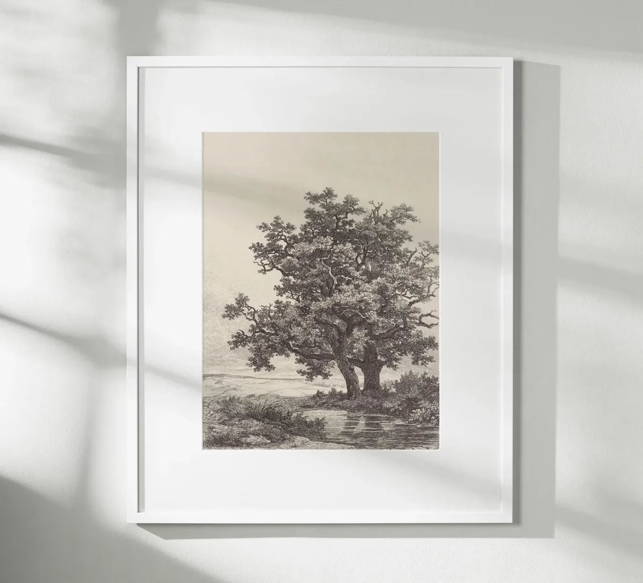 Tree with Stream Landscape carta hahnemühle da apoloprints