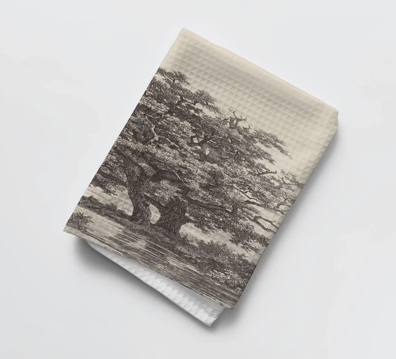 Tree with Stream Landscape torchon de apoloprints