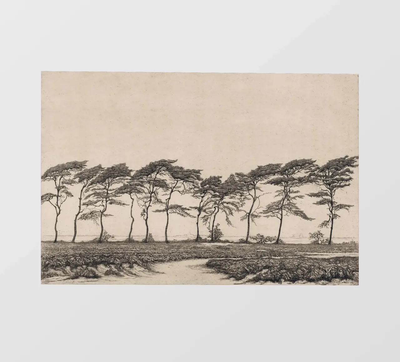 Pine Tree Landscape telo in pvc da apoloprints