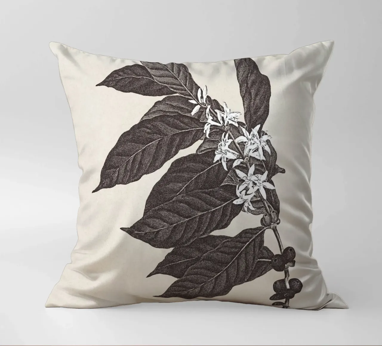 Coffee Branch Sketch no. 1 cuscino da apoloprints
