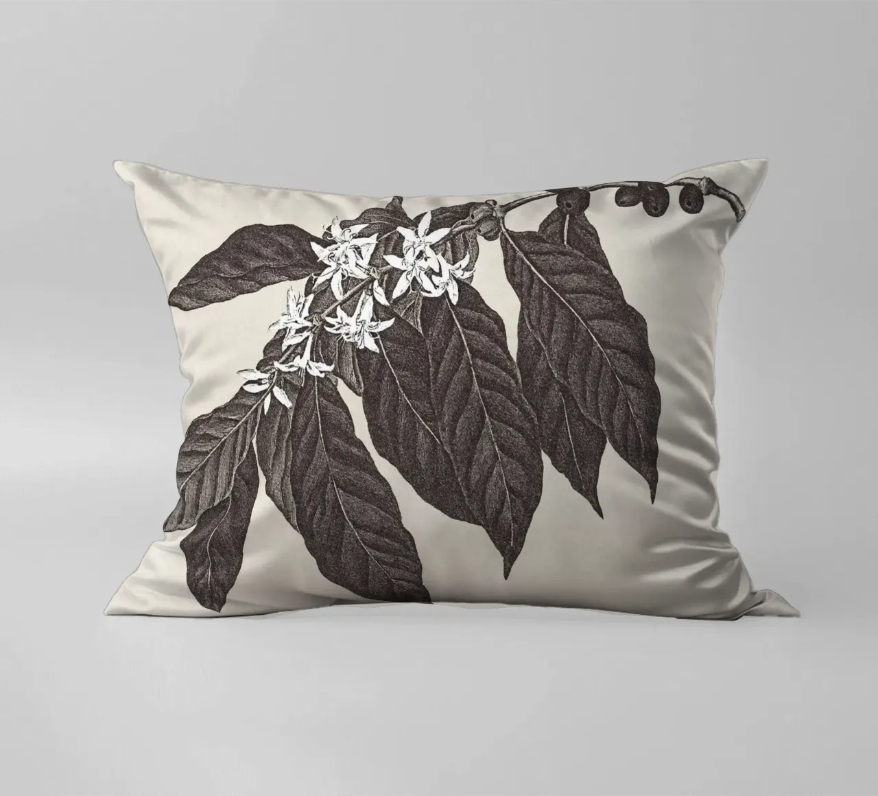 Coffee Branch Sketch no. 1 cuscino da apoloprints