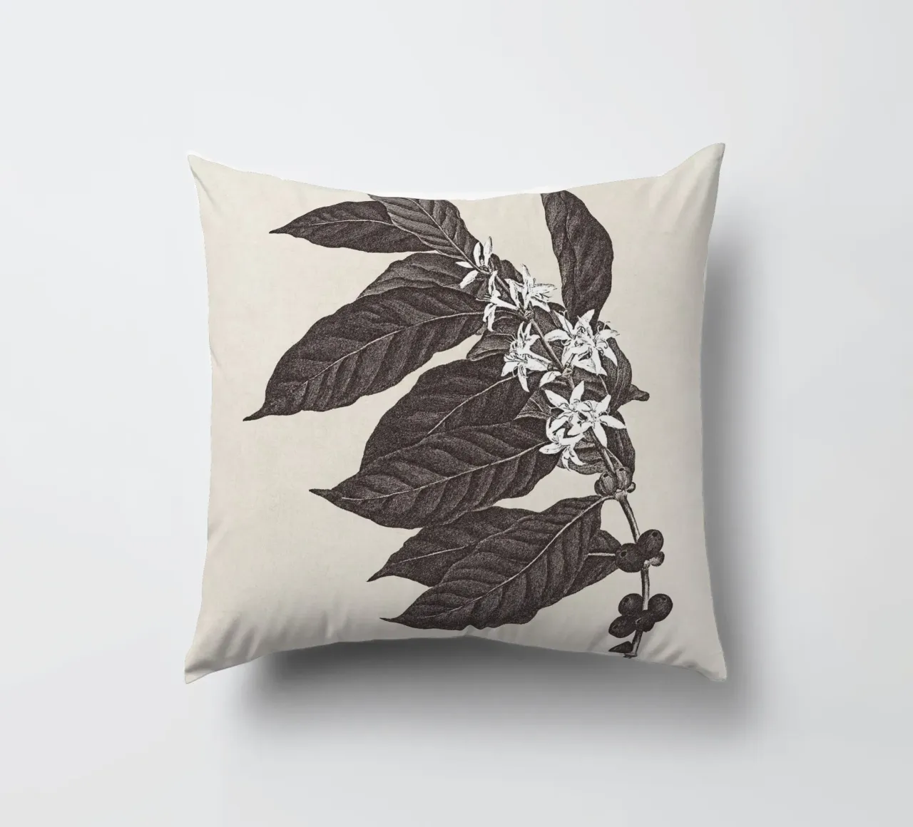 Coffee Branch Sketch no. 1 cuscino da apoloprints