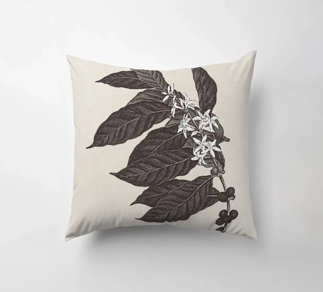 Coffee Branch Sketch no. 1 cuscino da apoloprints