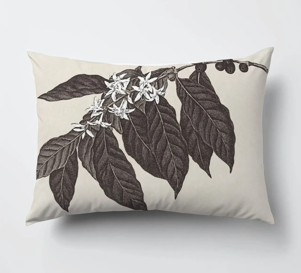 Coffee Branch Sketch no. 1 cuscino da apoloprints