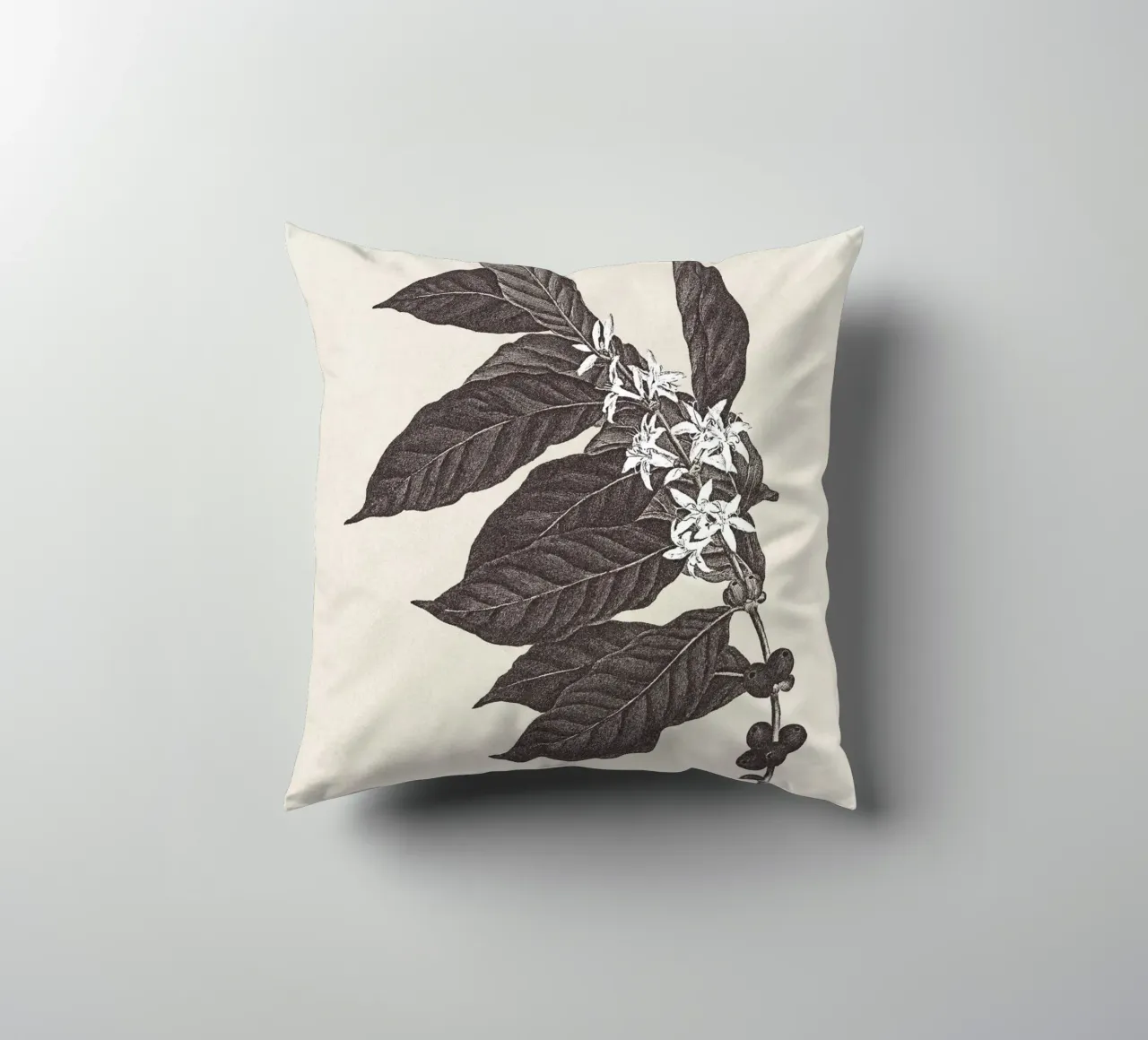 Coffee Branch Sketch no. 1 cuscino da apoloprints