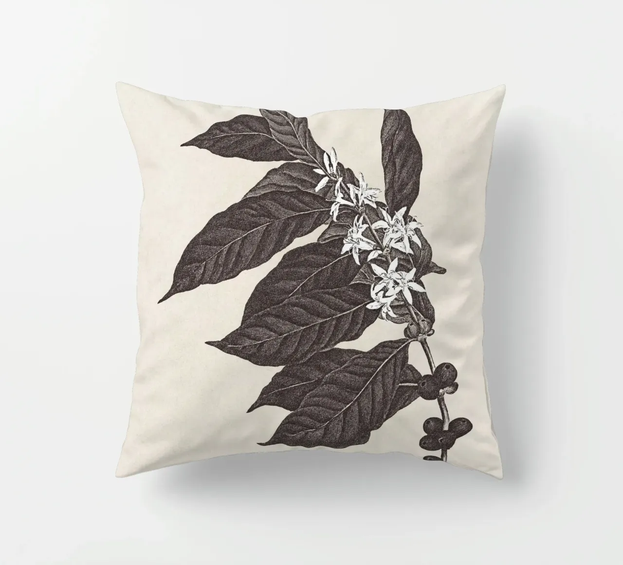 Coffee Branch Sketch no. 1 cuscino da apoloprints