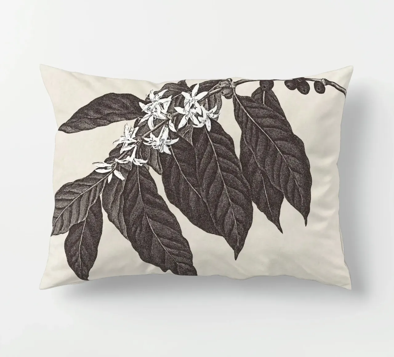 Coffee Branch Sketch no. 1 cuscino da apoloprints