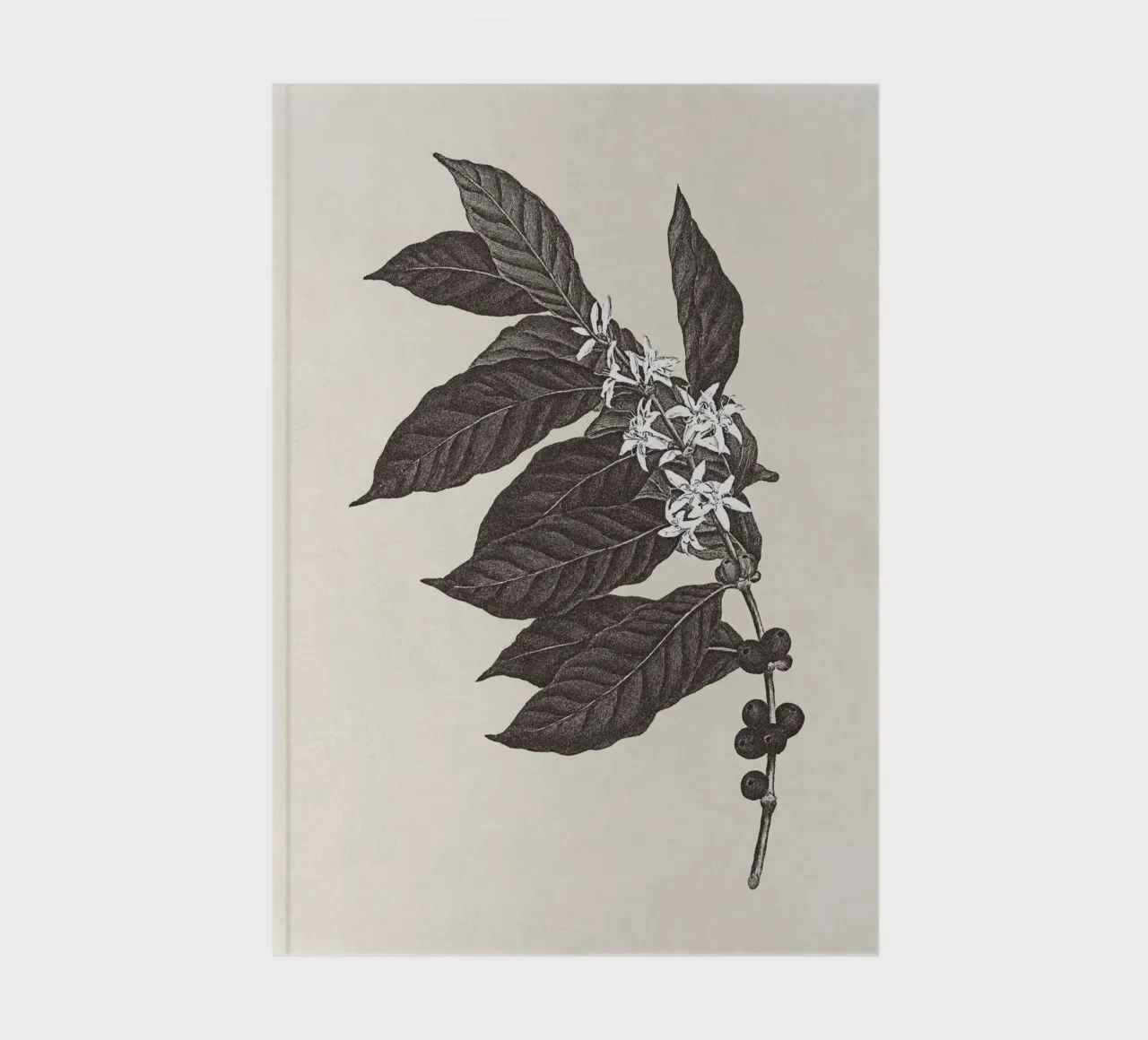 Coffee Branch Sketch no. 1 notebook by apoloprints