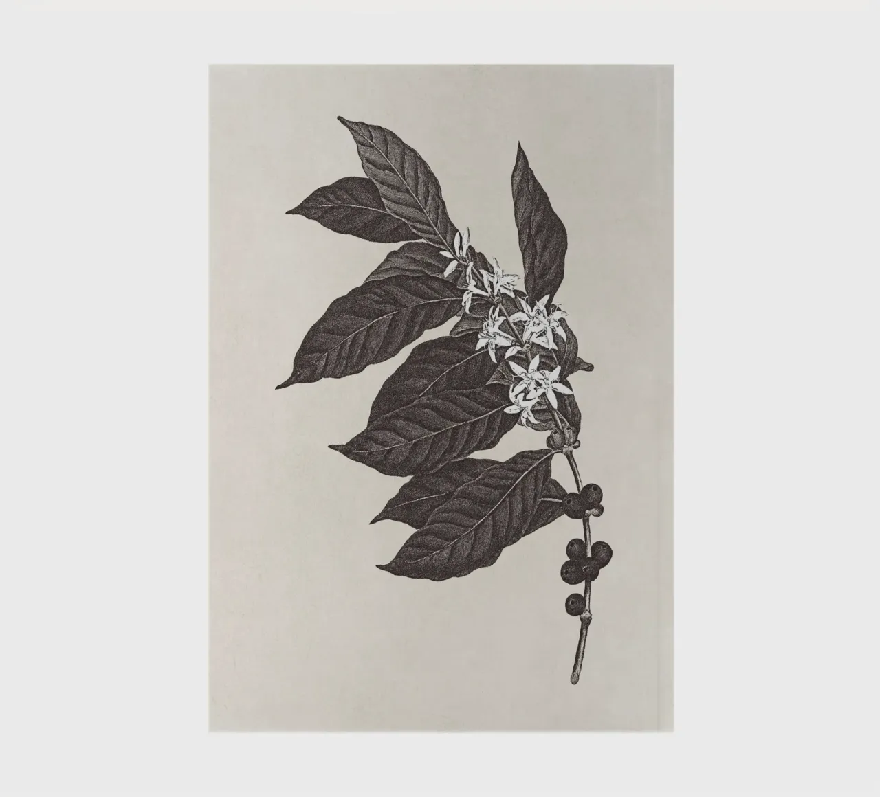 Coffee Branch Sketch no. 1 notebook by apoloprints