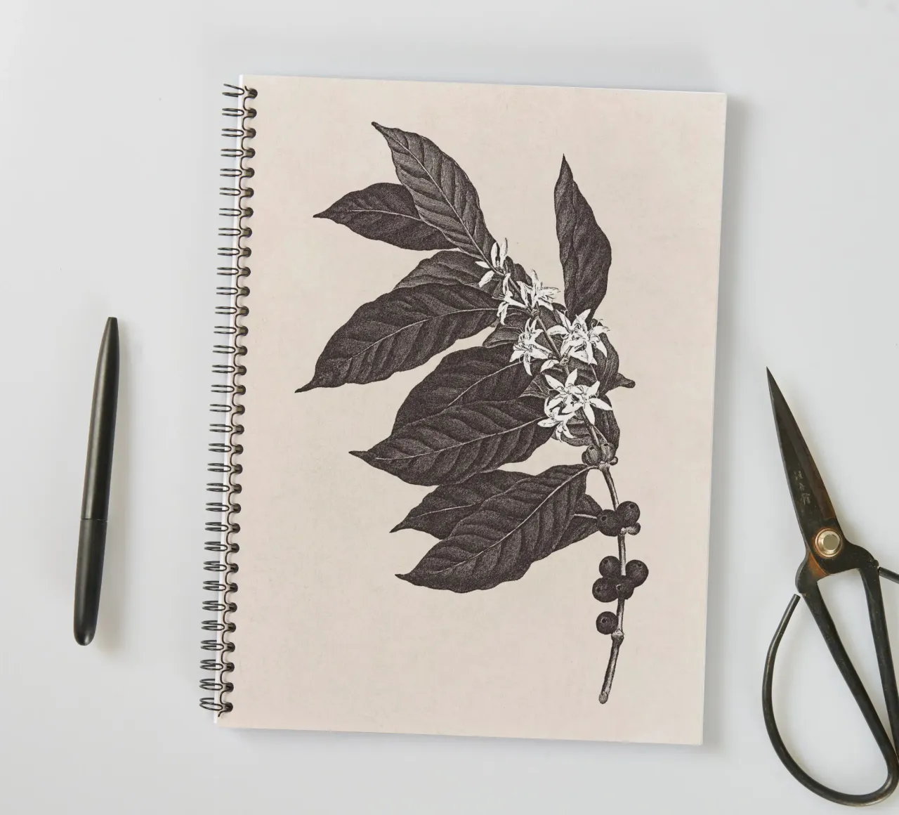 Coffee Branch Sketch no. 1 spiral notebook by apoloprints