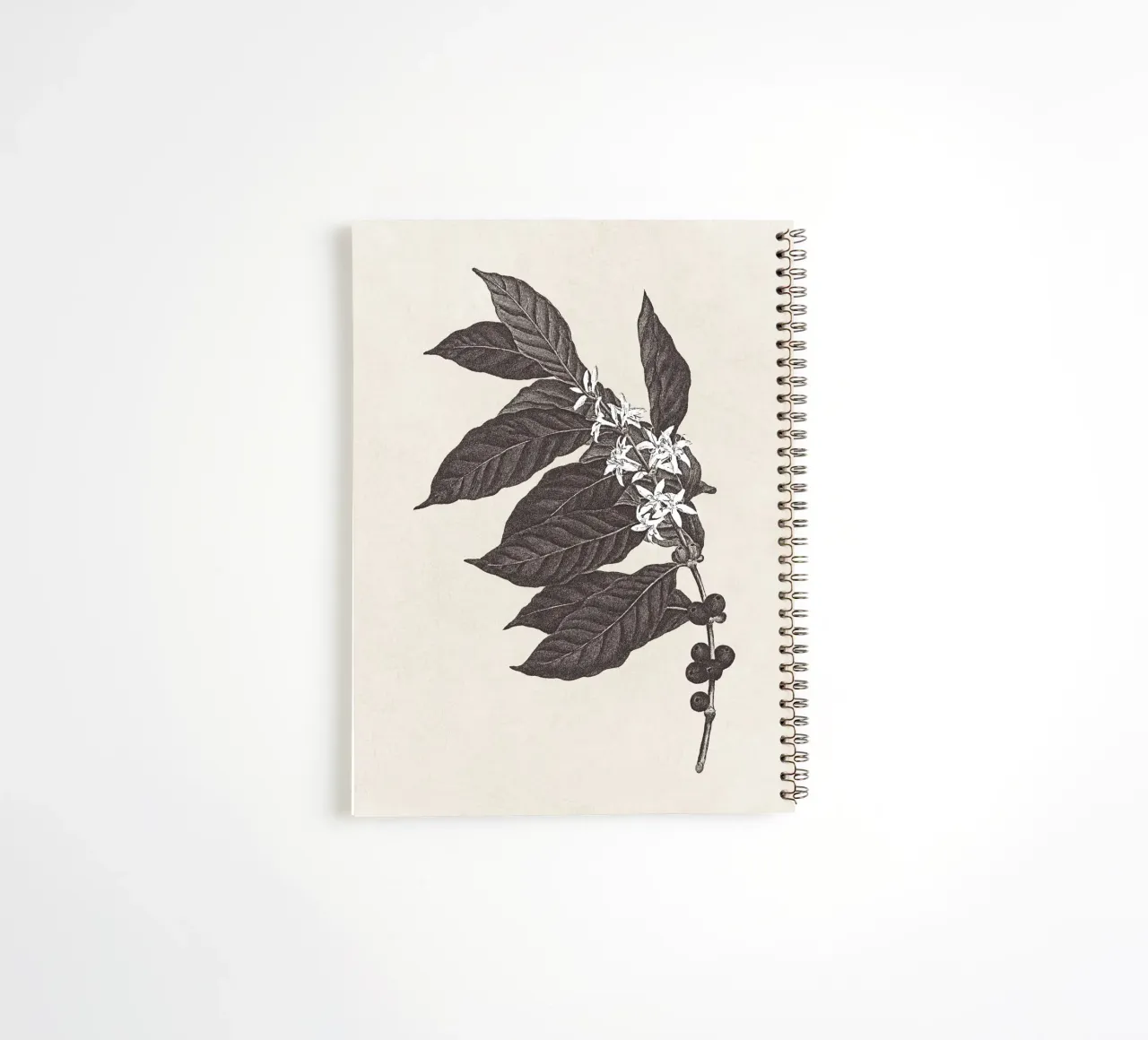 Coffee Branch Sketch no. 1 spiral notebook by apoloprints