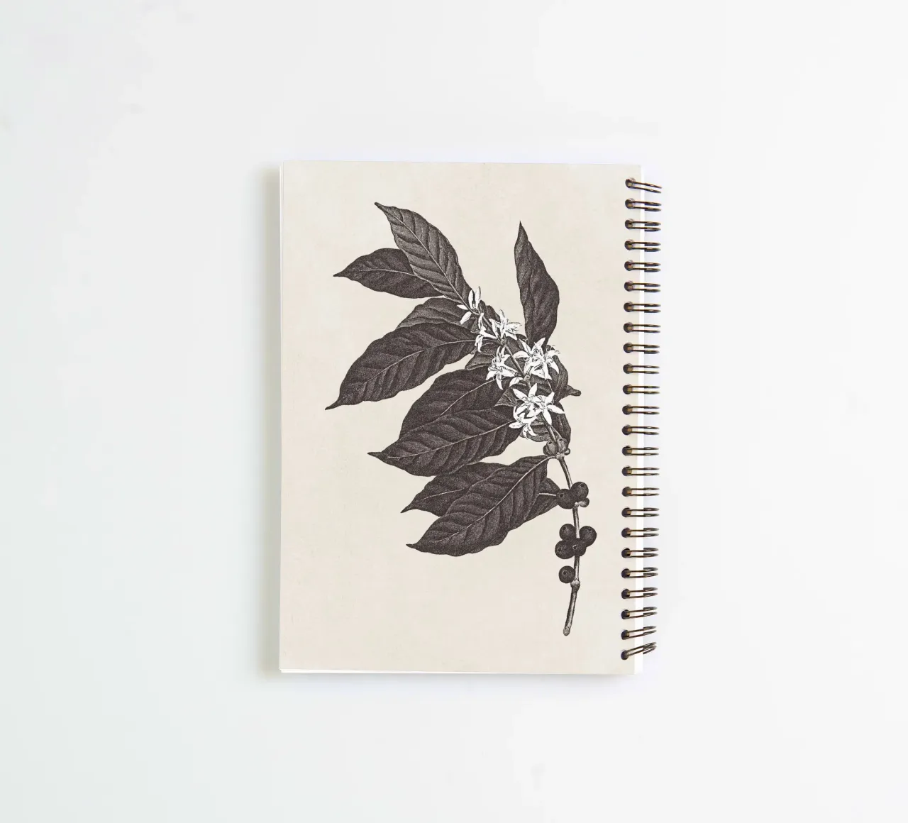 Coffee Branch Sketch no. 1 spiral notebook by apoloprints