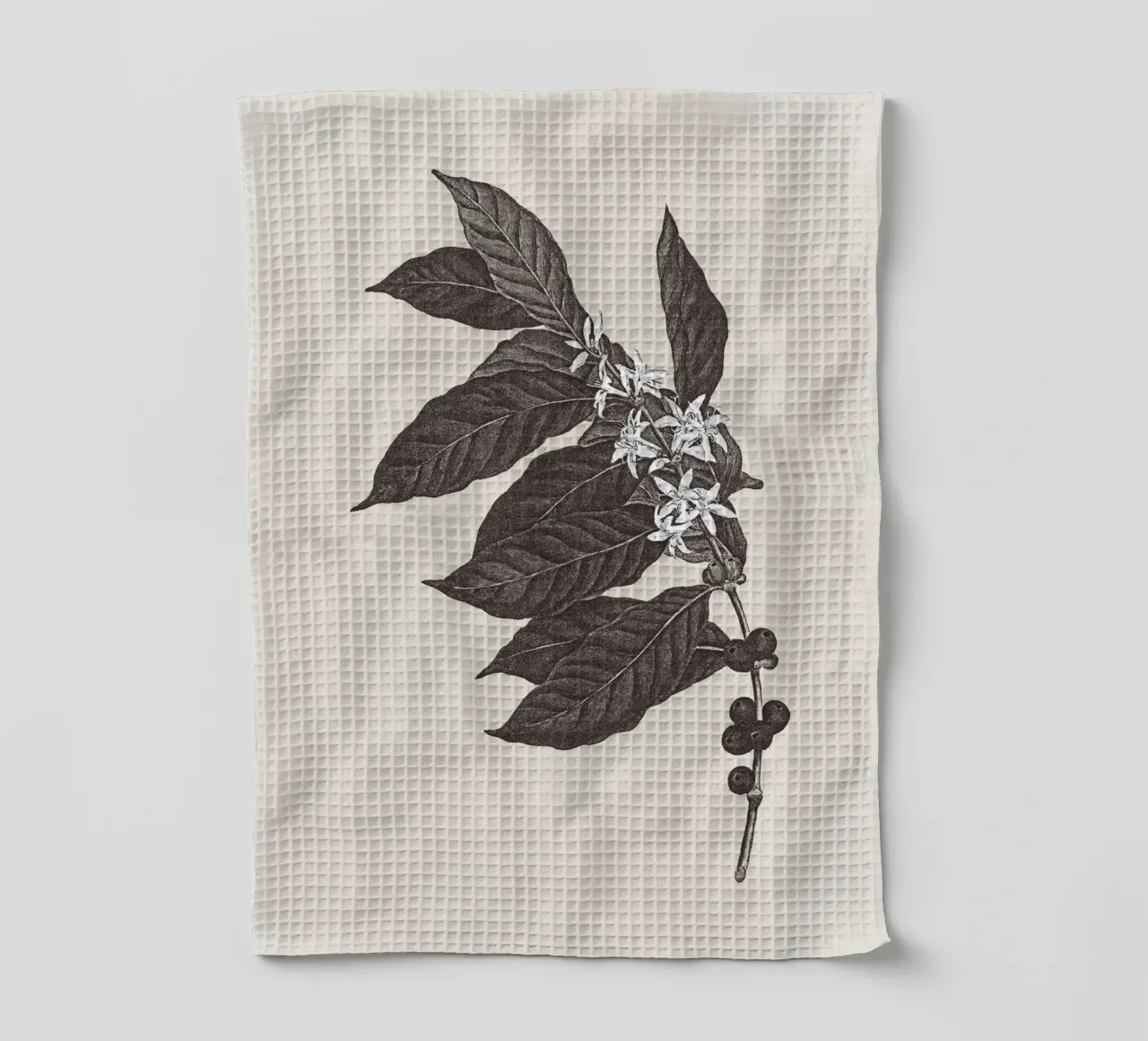 Coffee Branch Sketch no. 1 torchon de apoloprints