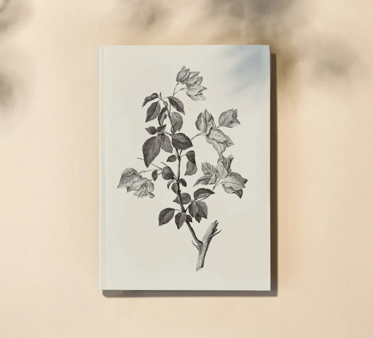 Bougainvillea Sketch notebook by apoloprints