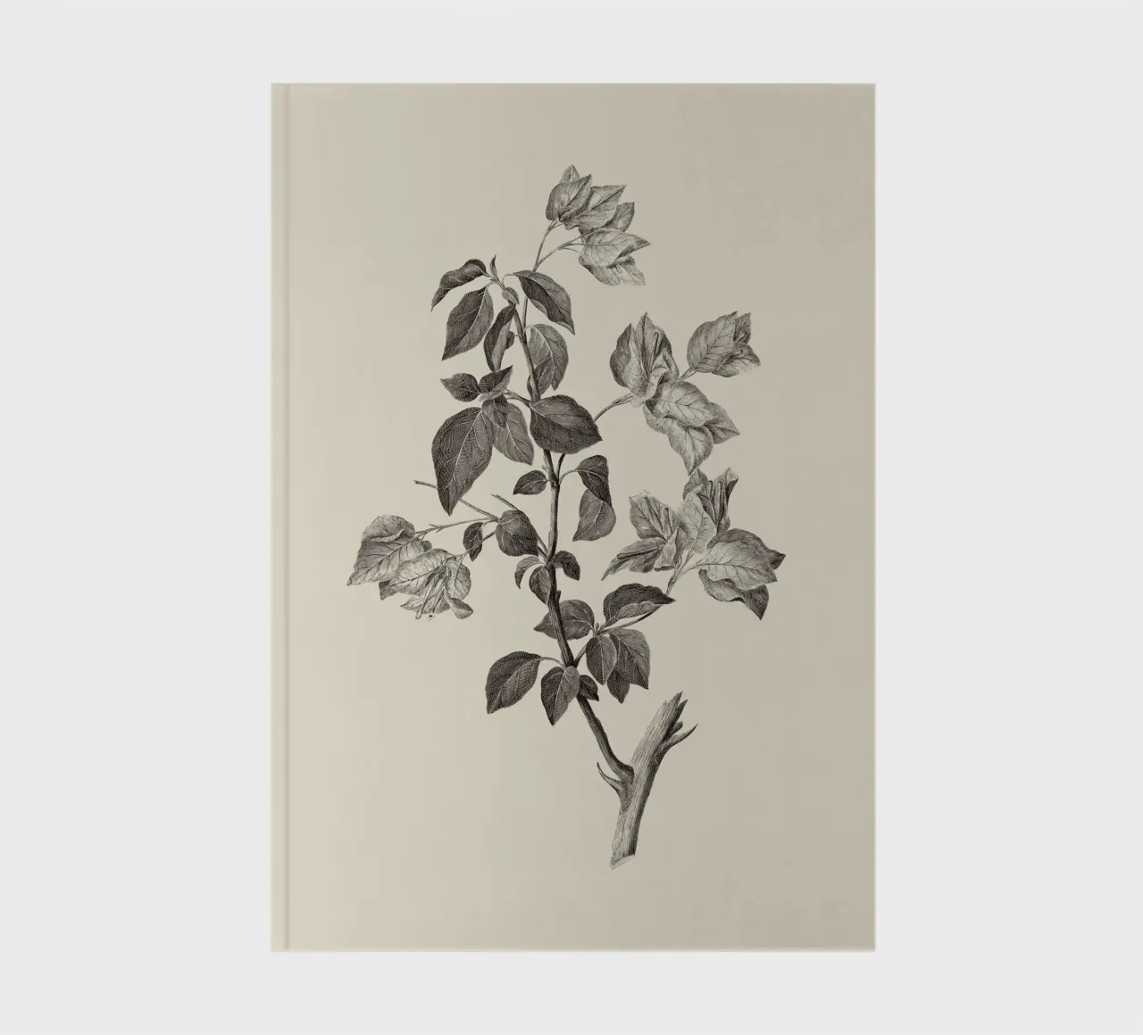 Bougainvillea Sketch notebook by apoloprints