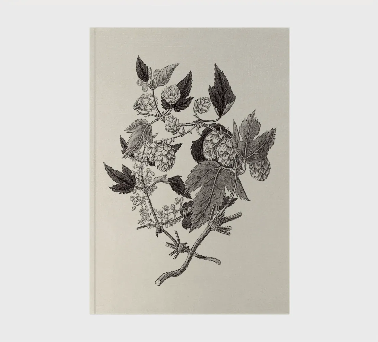 Hops Branch Sketch notebook by apoloprints