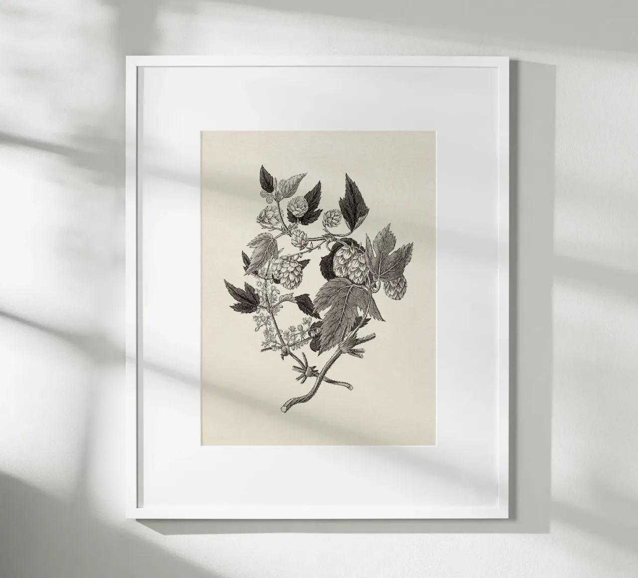 Hops Branch Sketch poster da apoloprints