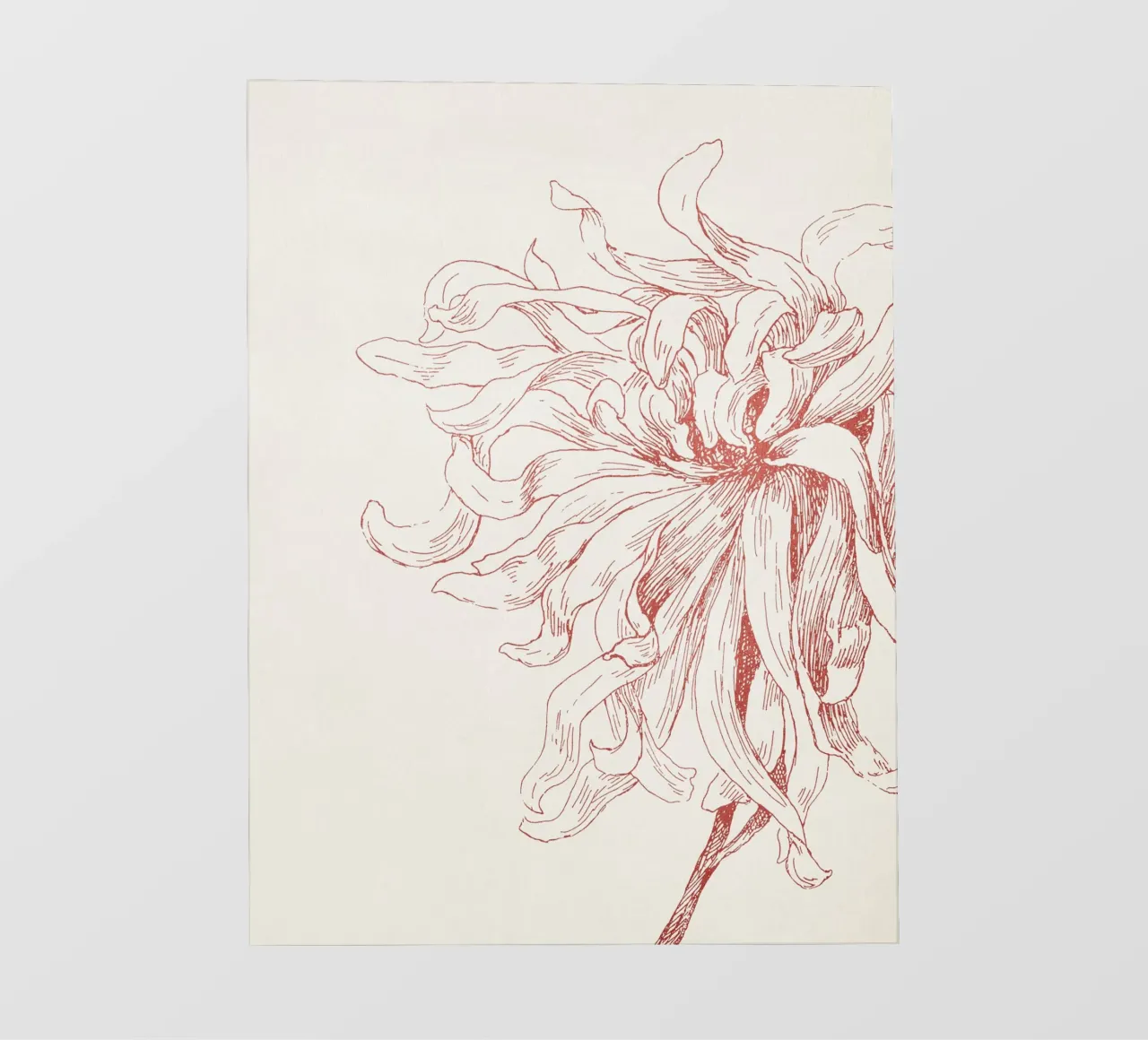 Dahlia Flower Sketch pellicola backlit da apoloprints