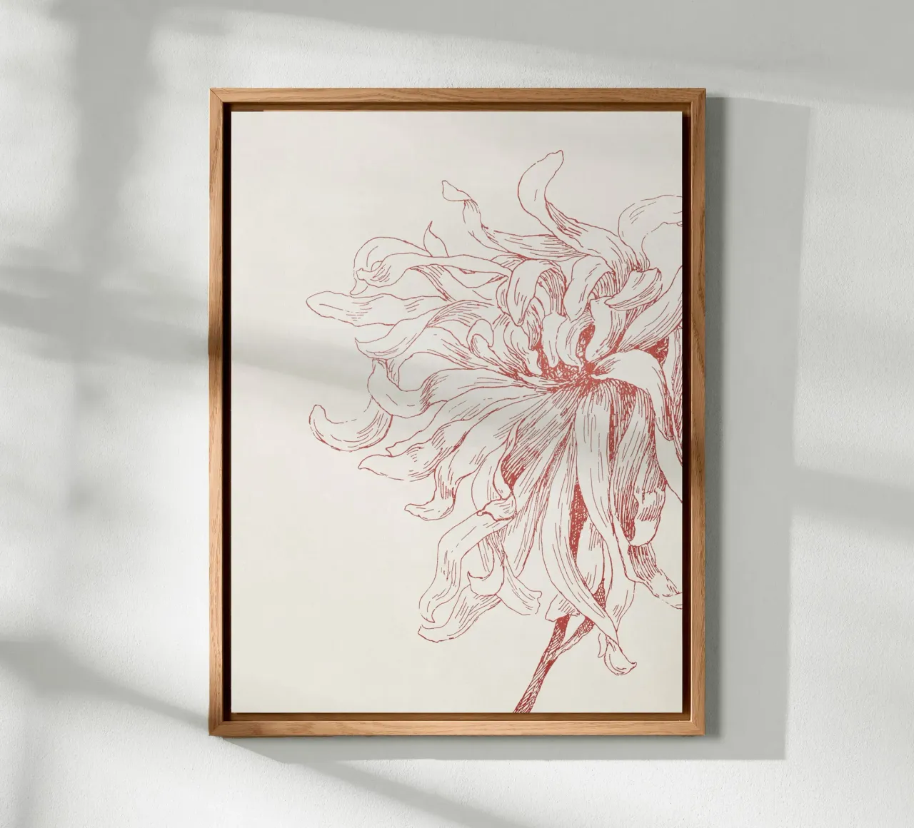Dahlia Flower Sketch alluminio dibond da apoloprints