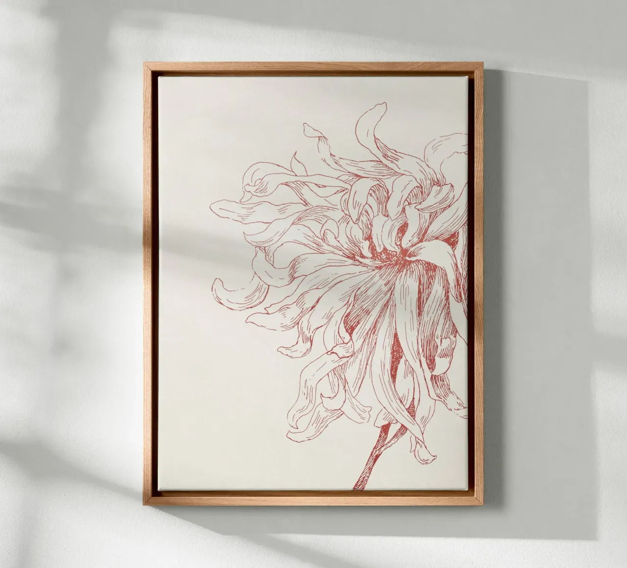 Dahlia Flower Sketch Leinwand von apoloprints