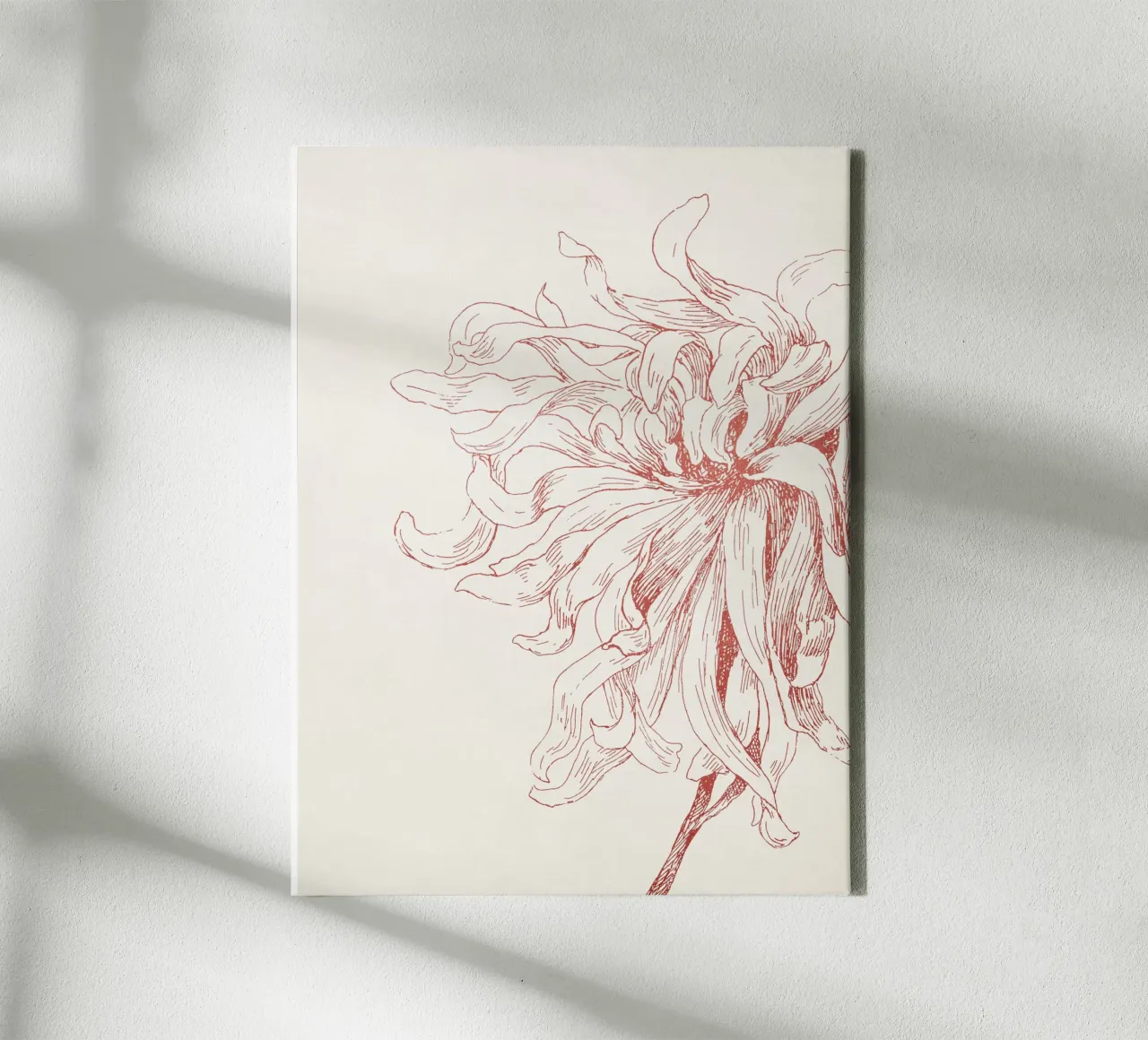 Dahlia Flower Sketch Leinwand von apoloprints