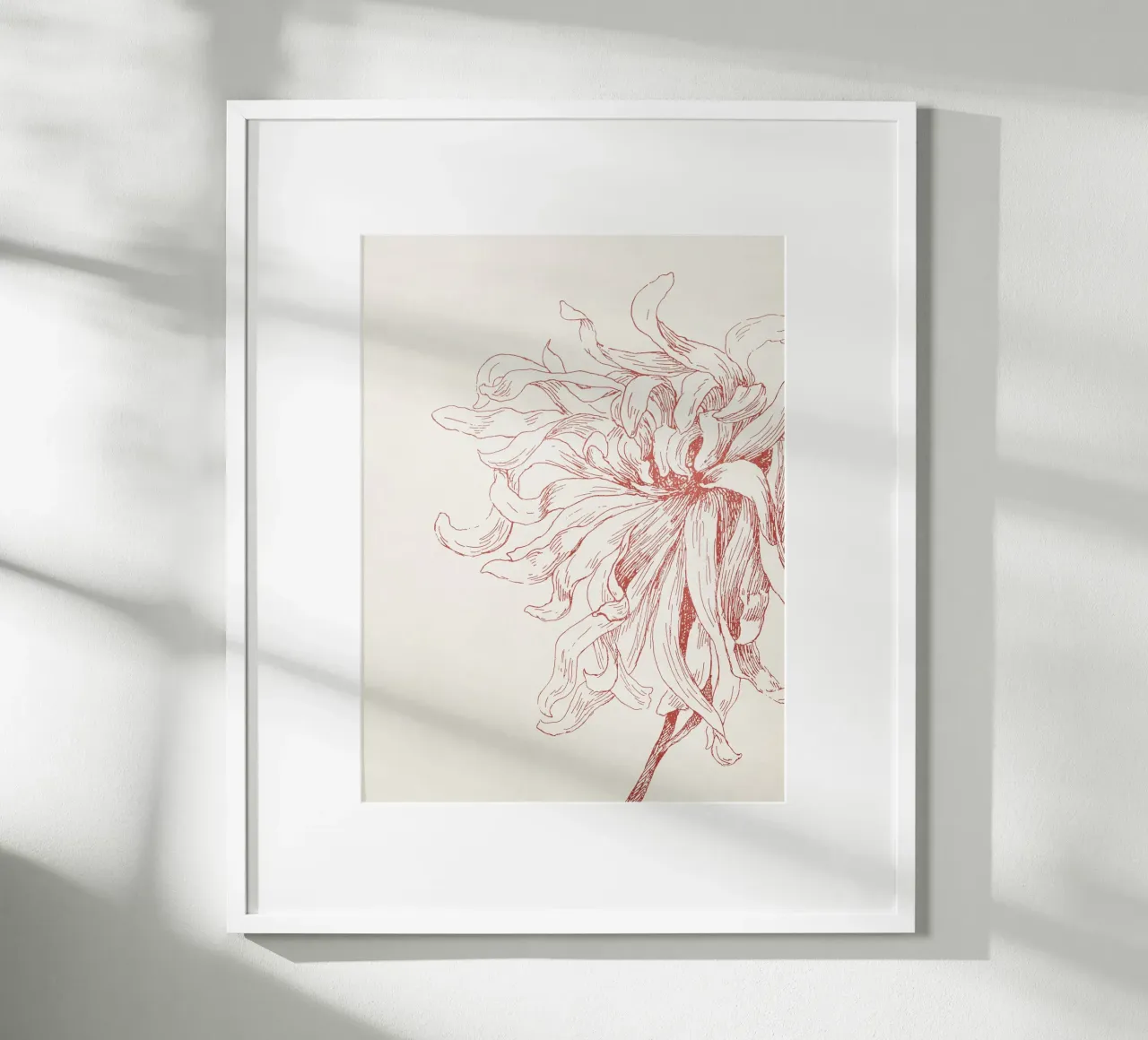 Dahlia Flower Sketch carta hahnemühle da apoloprints