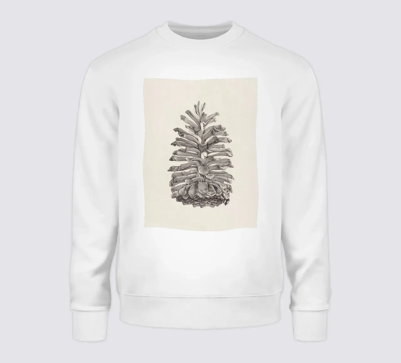 Pine Cone Sketch felpa da apoloprints