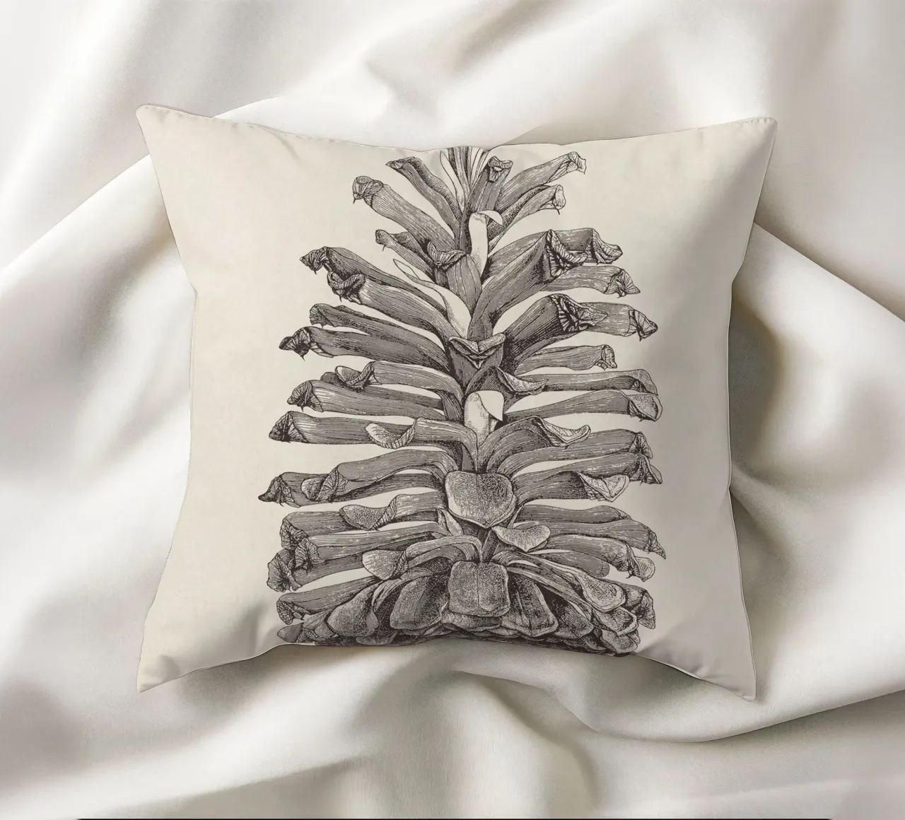 Pine Cone Sketch cuscino da apoloprints