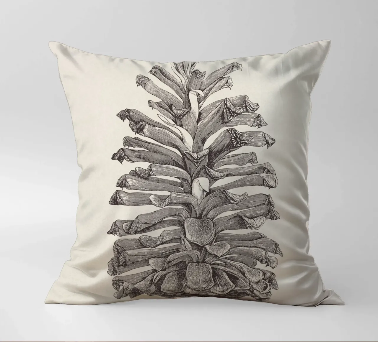 Pine Cone Sketch cuscino da apoloprints