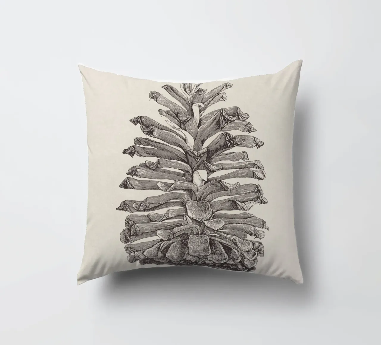 Pine Cone Sketch cuscino da apoloprints